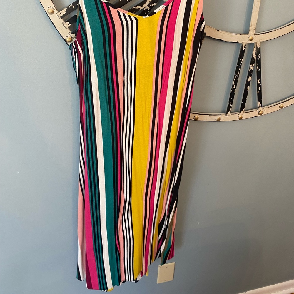 Stripped Express Dress